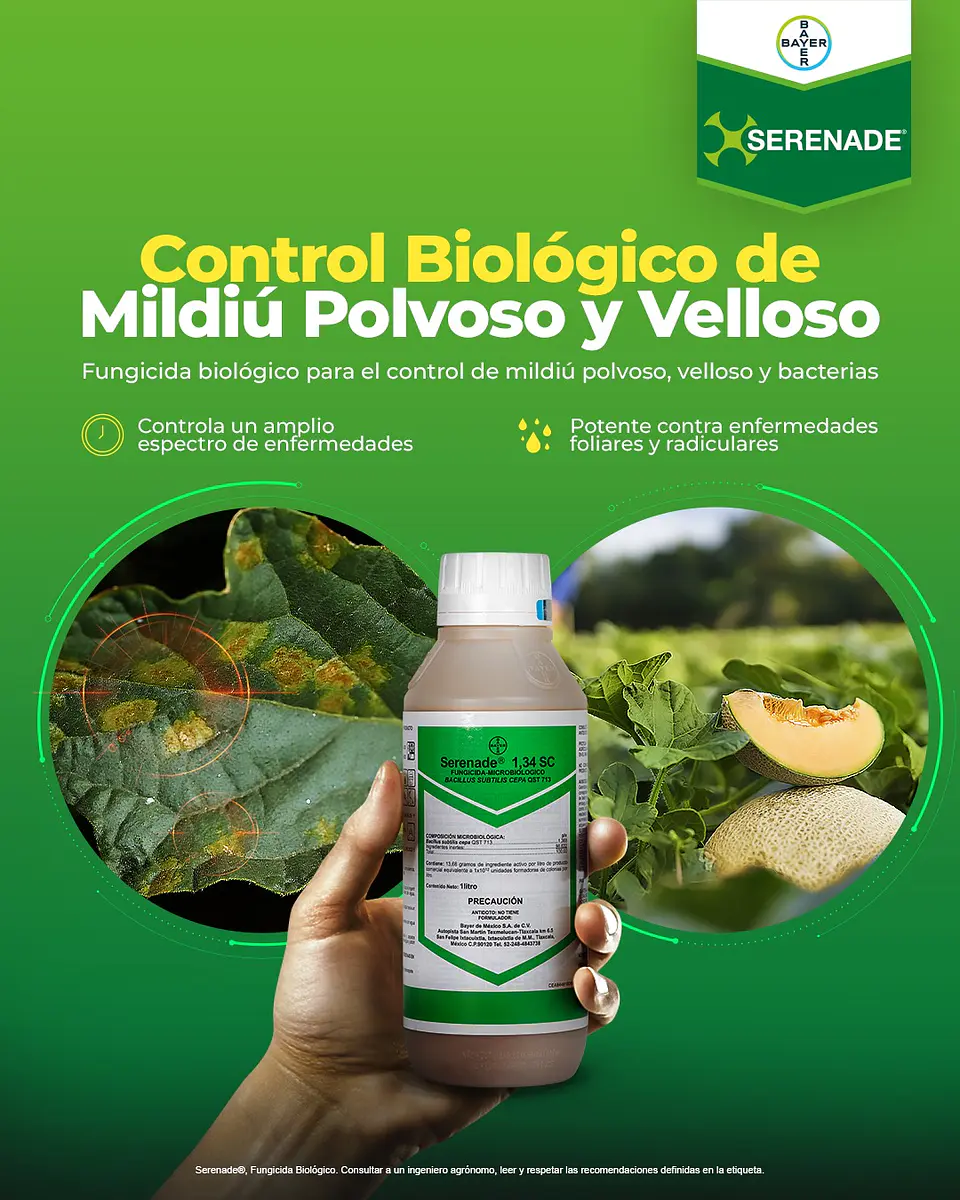 Serenade Bayer Bacillus Subtilis Fungicida X L Agrosamario 1