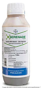 Serenade Bayer Bacillus Subtilis Fungicida X L Agrosamario - Miniatura 8