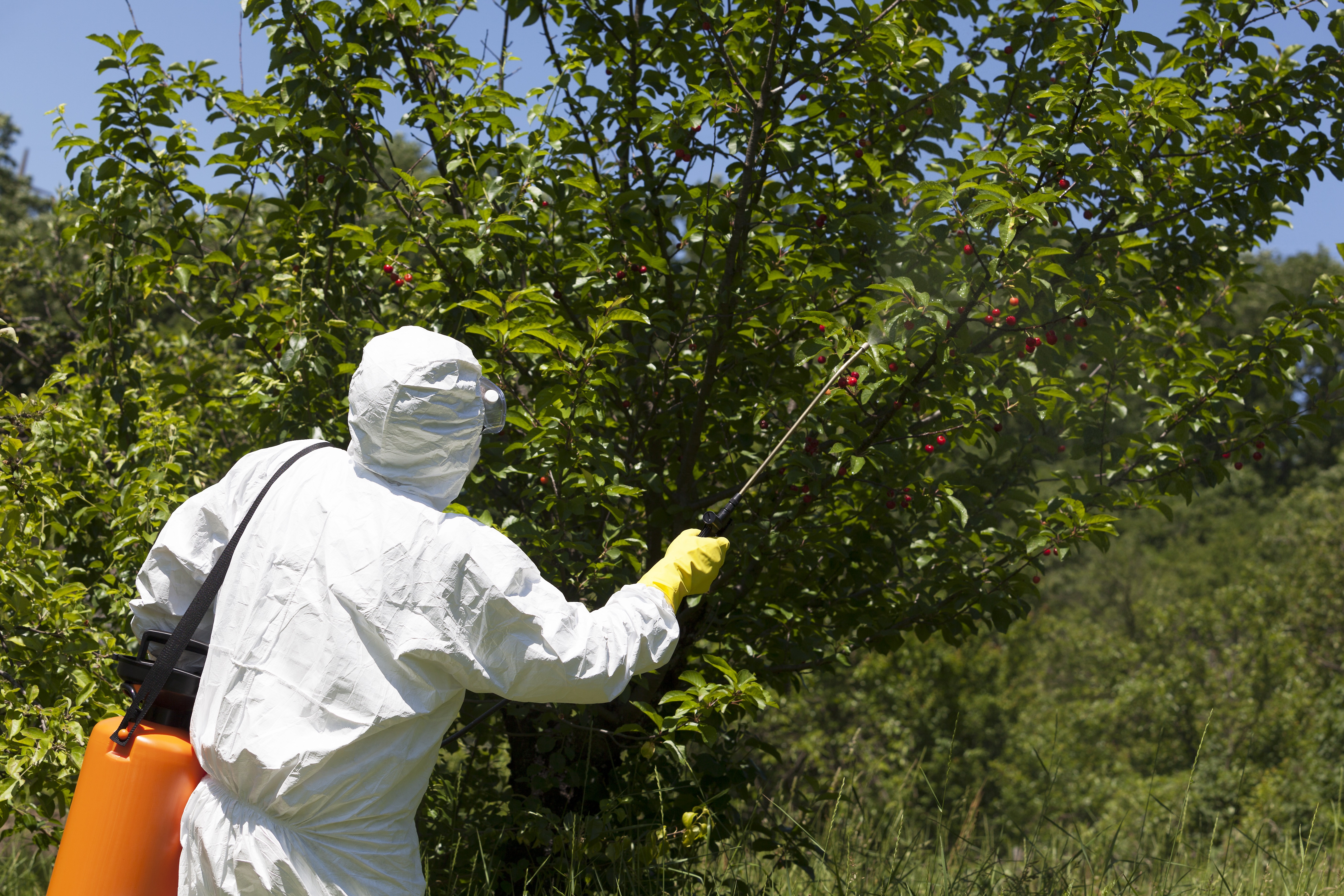 Plaguicidas sin usar EPP adecuados: las secuelas de improvisar en la protección
