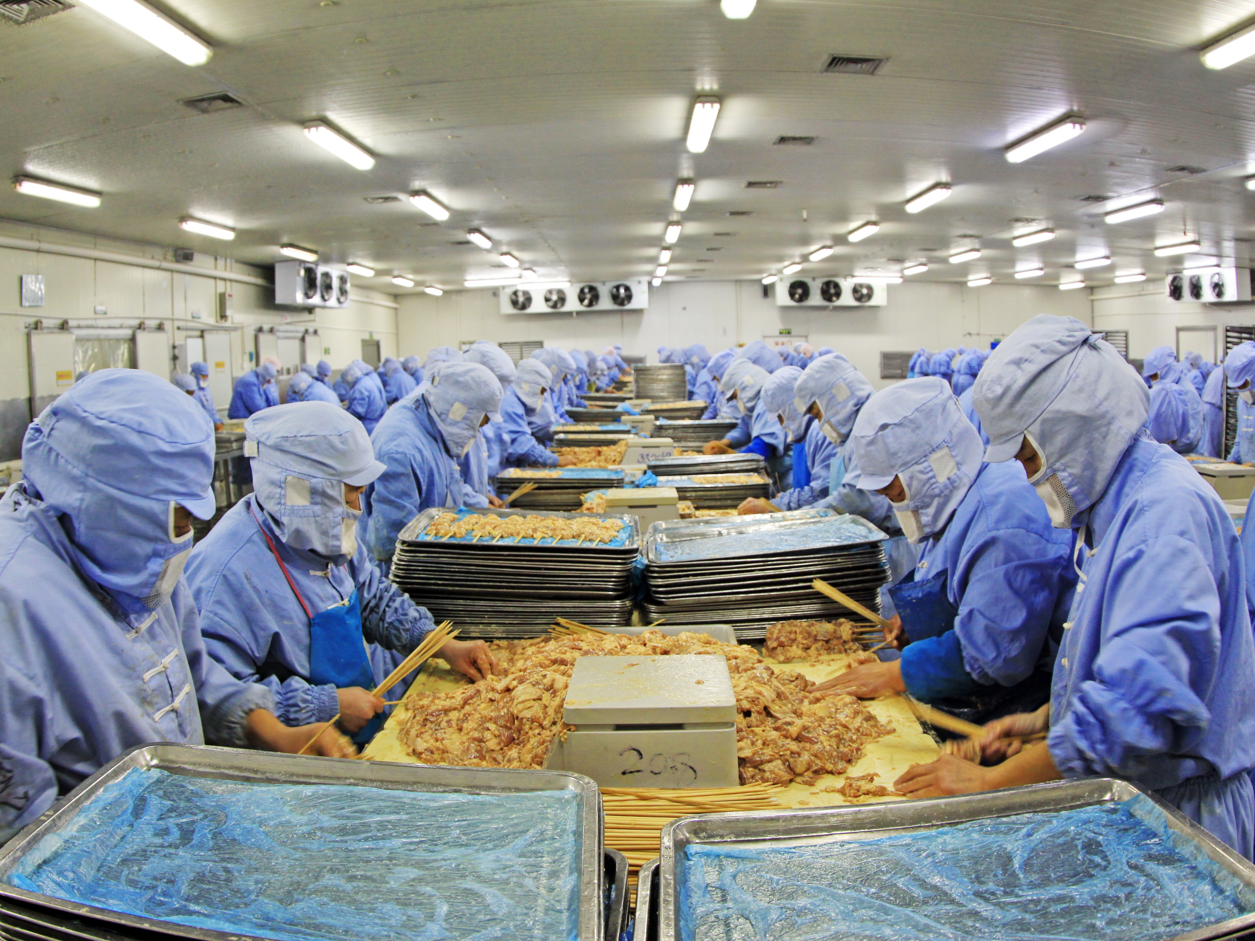 Vestuario sanitario en la industria de alimentos: una inversión crítica para proteger la inocuidad, la operación y la marca