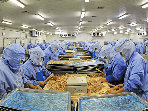 Vestuario sanitario en la industria de alimentos: una inversión crítica para proteger la inocuidad, la operación y la marca