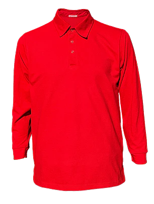 Polera camisera manga larga