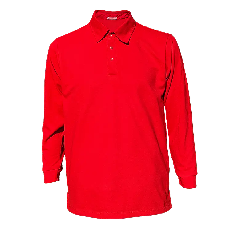 Polera camisera manga larga 1