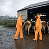 Conjunto Impermeable Aquatex: protección liviana para trabajar en exteriores bajo lluvia y viento