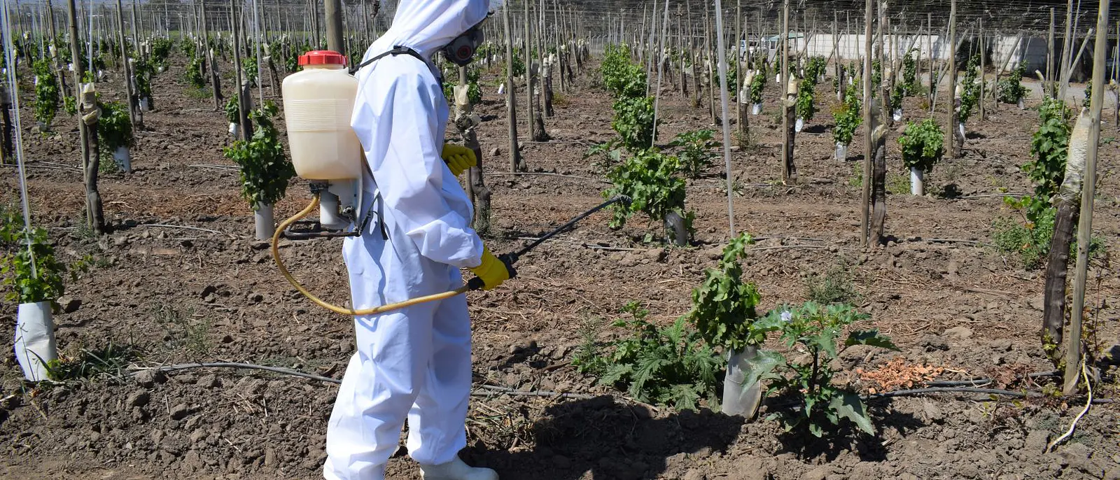 Buzo de protección certificado para aplicadores de fitosanitarios con bomba de espalda