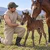 Overol Veterinario Agrotex: una prenda diseñada para el trabajo con animales mayores