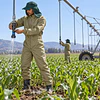 Primavera en el campo: un overol agrícola preparado para una temporada intensa actividad