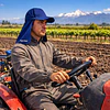 Más horas bajo el sol: protección UV Suntex para el trabajo al aire libre