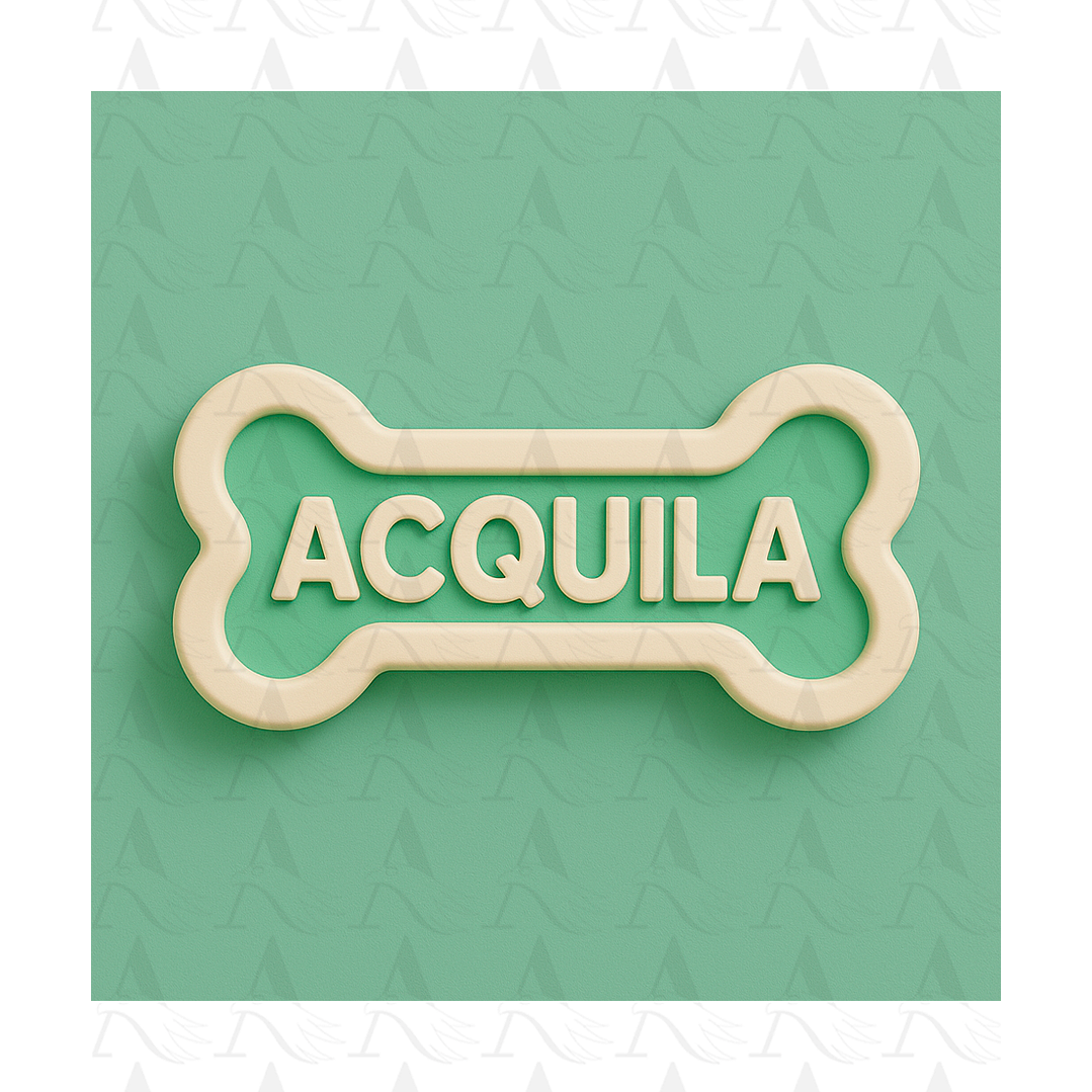 Mascota Miniatura - Salchicha 3