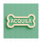 Mascota Miniatura - Salchicha - Miniatura 3