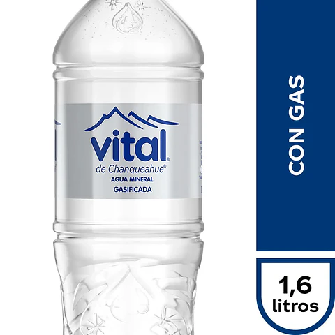 Vital Gasificada 1.6 Lts