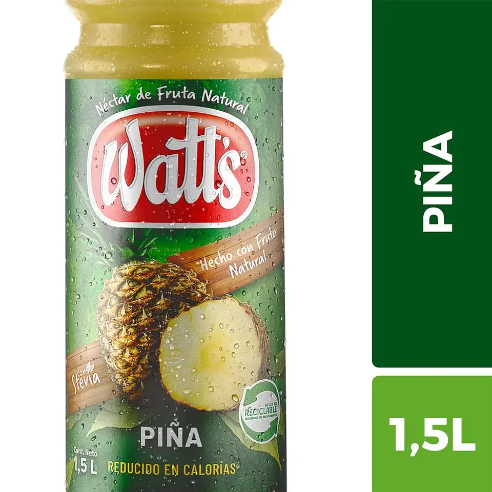 Watts Piña 1.5 Lts 1