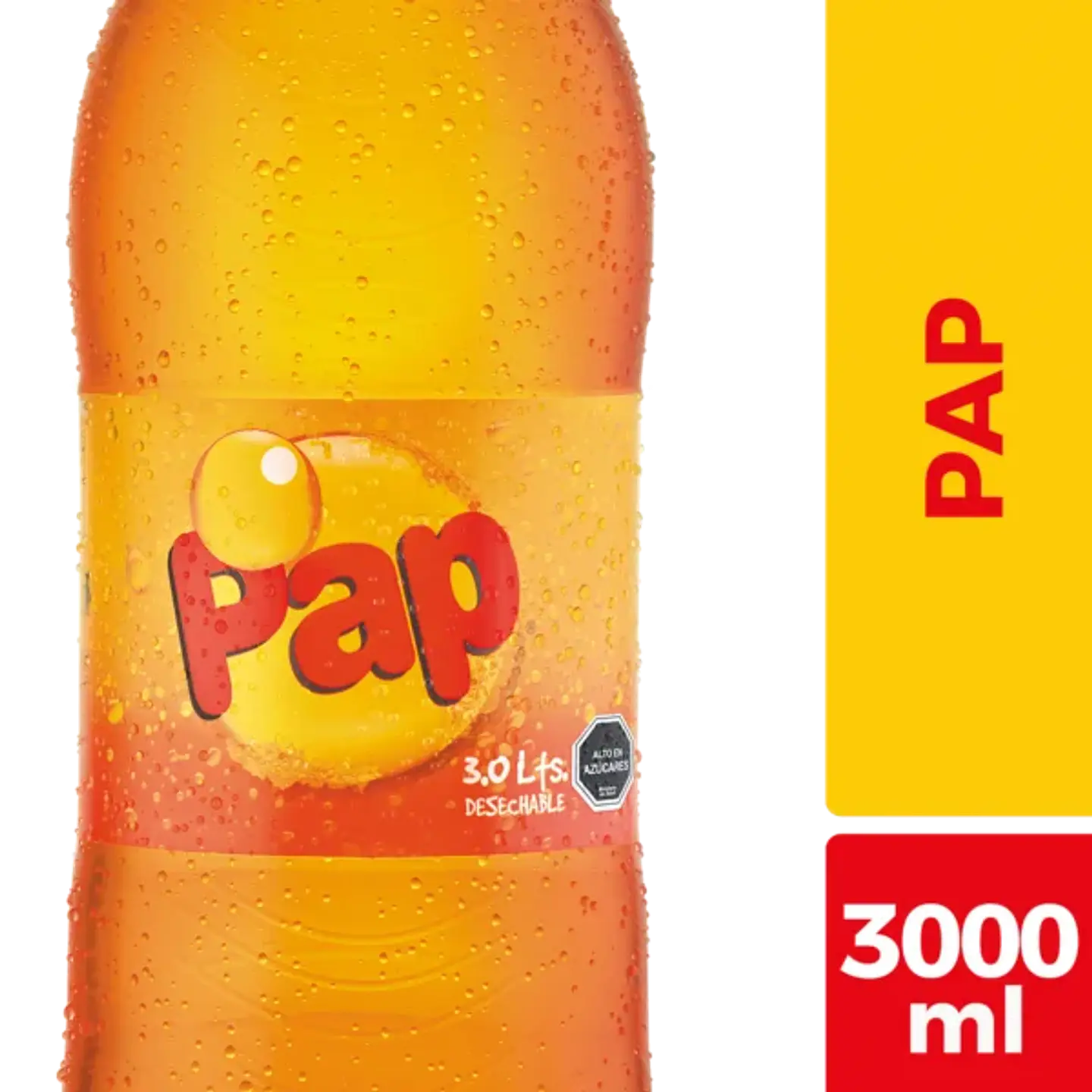 Pap 3 Lts Desechable 1