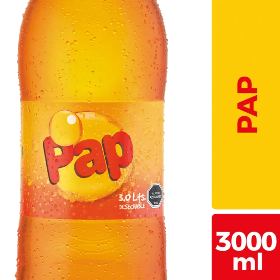 Pap 3 Lts Desechable 1