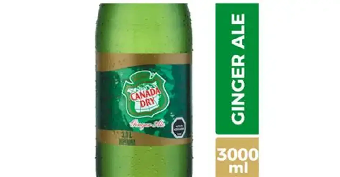 Canada Dry 3 Lts Desechable 1