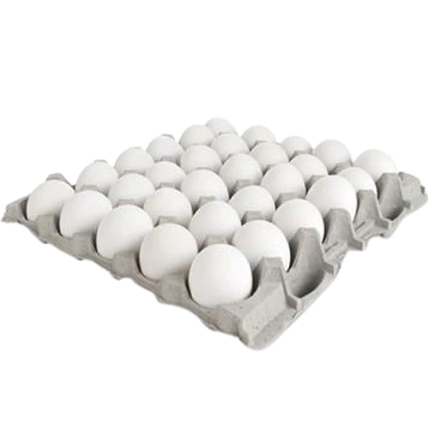 BANDEJA 30 HUEVOS EXTRA BLANCOS 