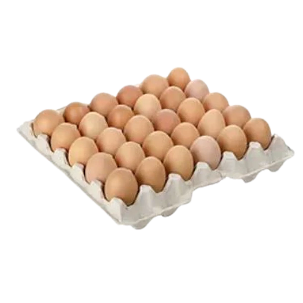 BANDEJA 30 HUEVOS EXTRA COLOR