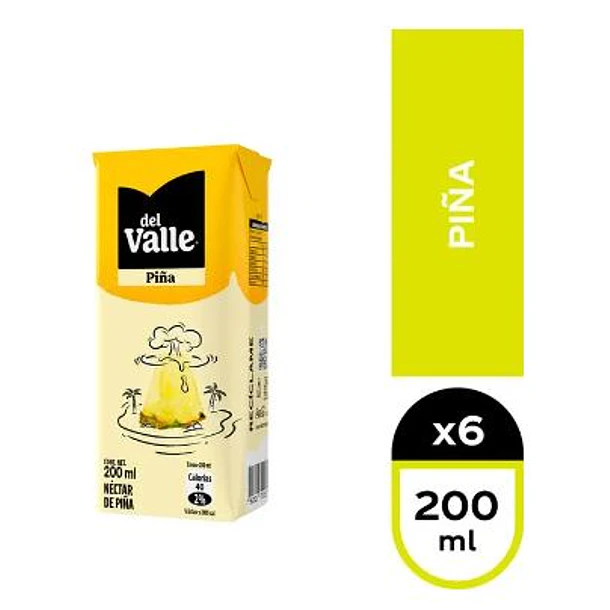 PACK 6 CAJITAS DE JUGO  ANDINA DEL VALLE PIÑA 200 ML