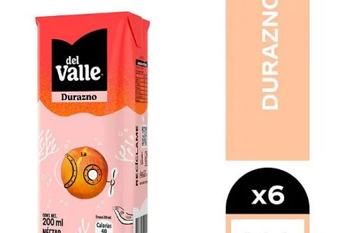 PACK 6 CAJITAS DE JUGO ANDINA DEL VALLE DURAZNO 200 ML.