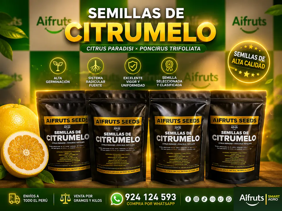 Semillas de Citrumelo 2