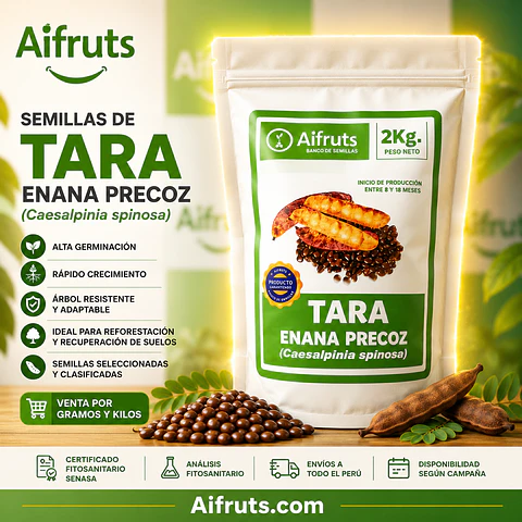 Semillas de Tara enana precoz