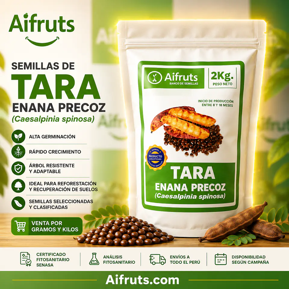 Semillas de Tara enana precoz 1