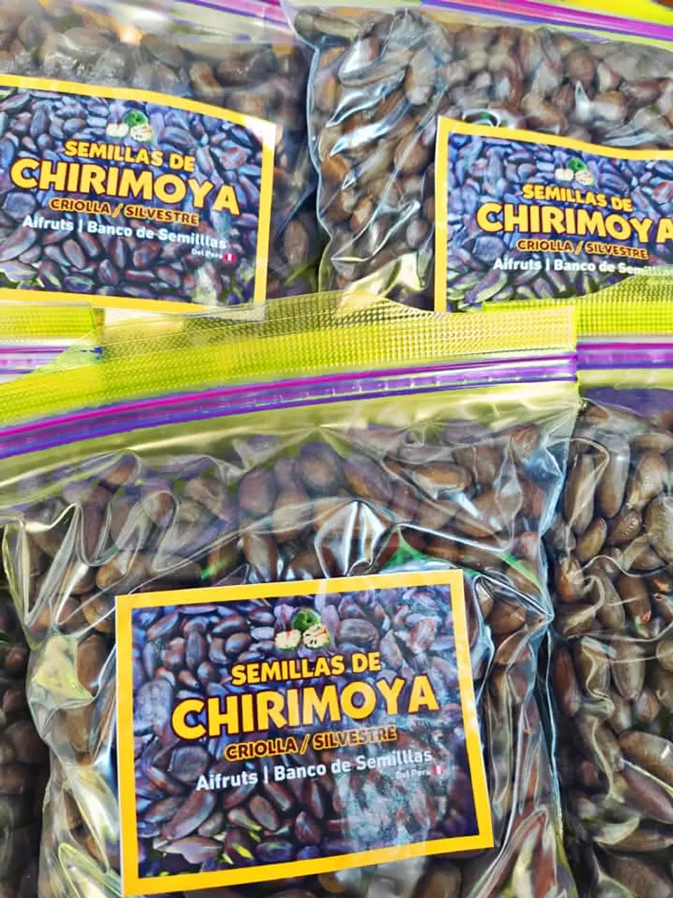 Semillas de Chirimoya criolla 5