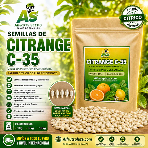 Semillas de Citrange C35