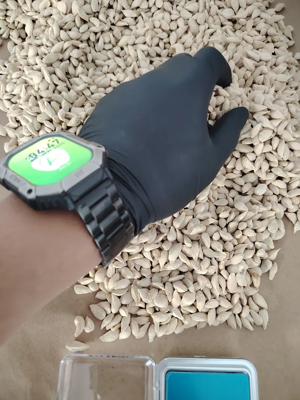 Semillas de Citrange C35 3