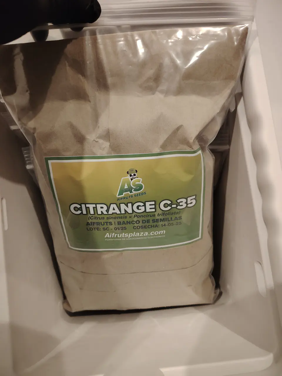 Semillas de Citrange C35 8