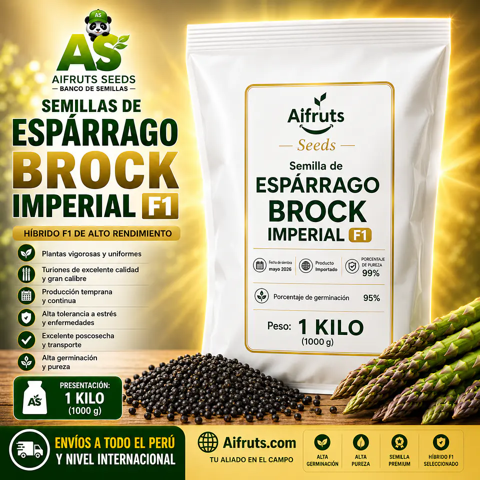 Semillas de Espárrago Brock Imperial F1 1