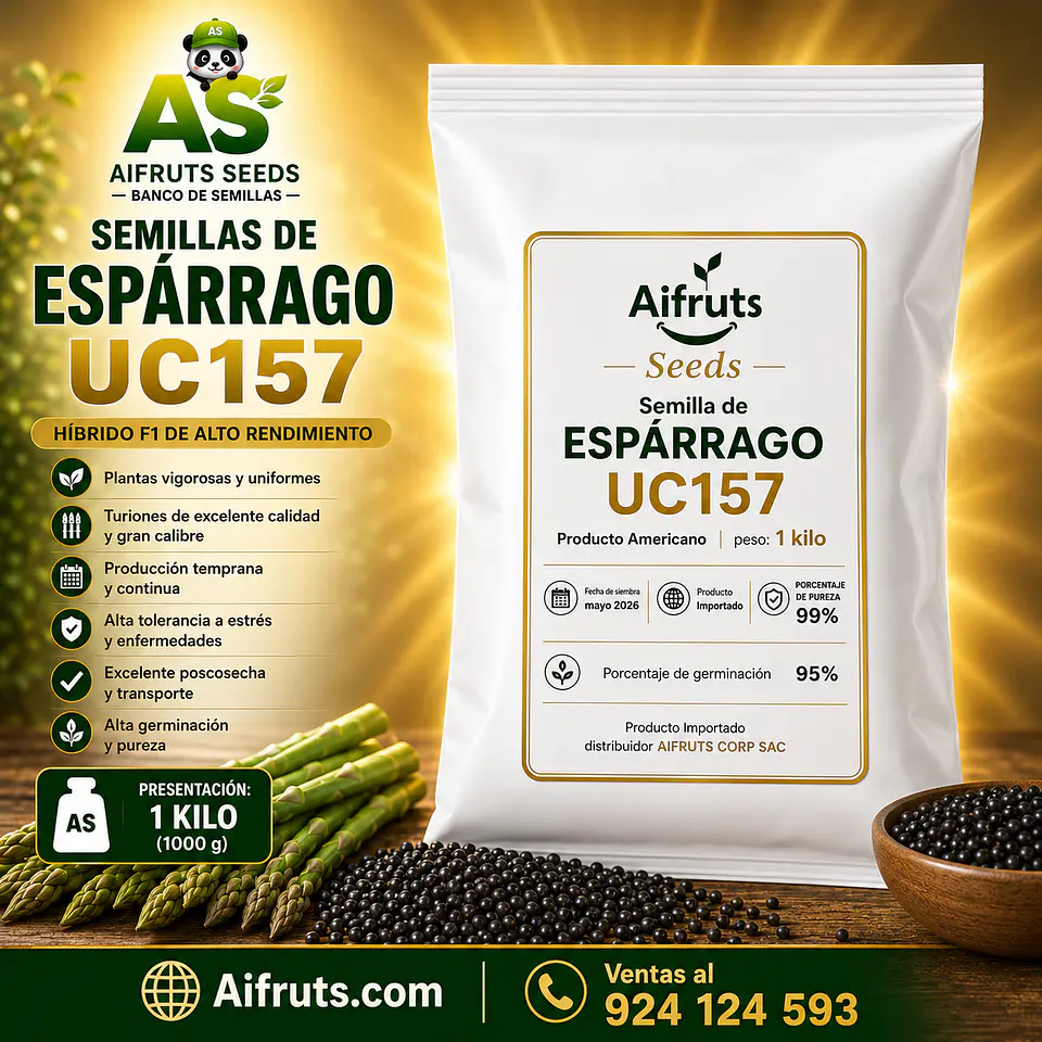 Semillas de Espárrago UC 157 1