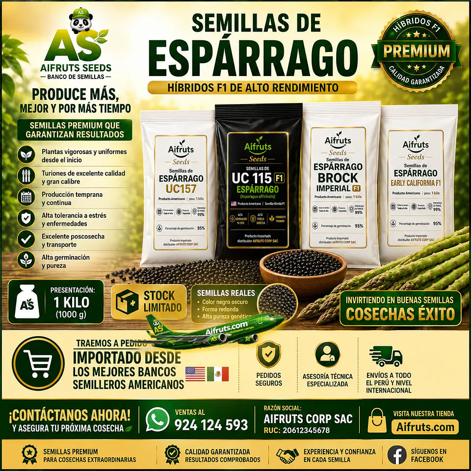 Semillas de Espárrago Early California F1 3