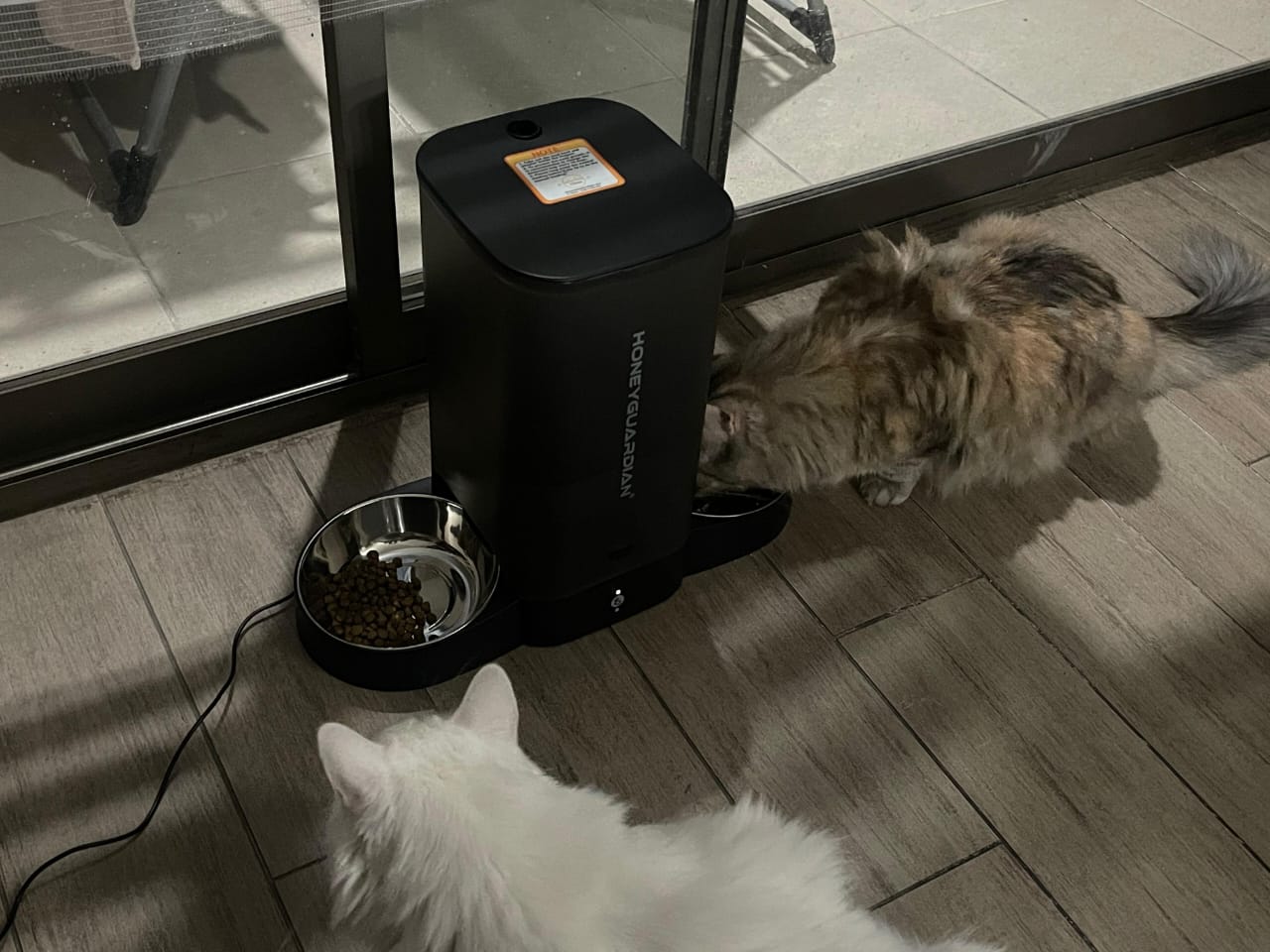 Dispensador Automático Comida Gato Wifi Doble Plato 5 L  10
