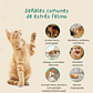 Difusor Calmante Relajante Feromonas Antiestrés Gatos - Miniatura 6