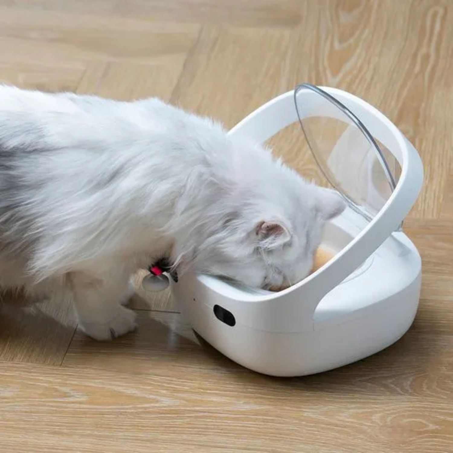 Cooler Comedero RFID antirrobo sensor 4