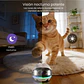 Cámara Robot Móvil Vigilancia Acompañamiento Gatos - Miniatura 6