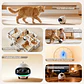Cámara Robot Móvil Vigilancia Acompañamiento Gatos - Miniatura 8