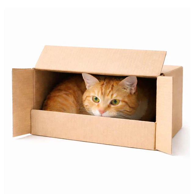 control-estres-ansiedad-gatos
