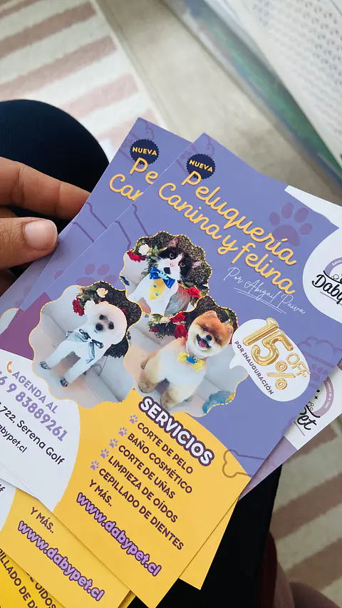 Flyers - Volantes 10 x 15 cm