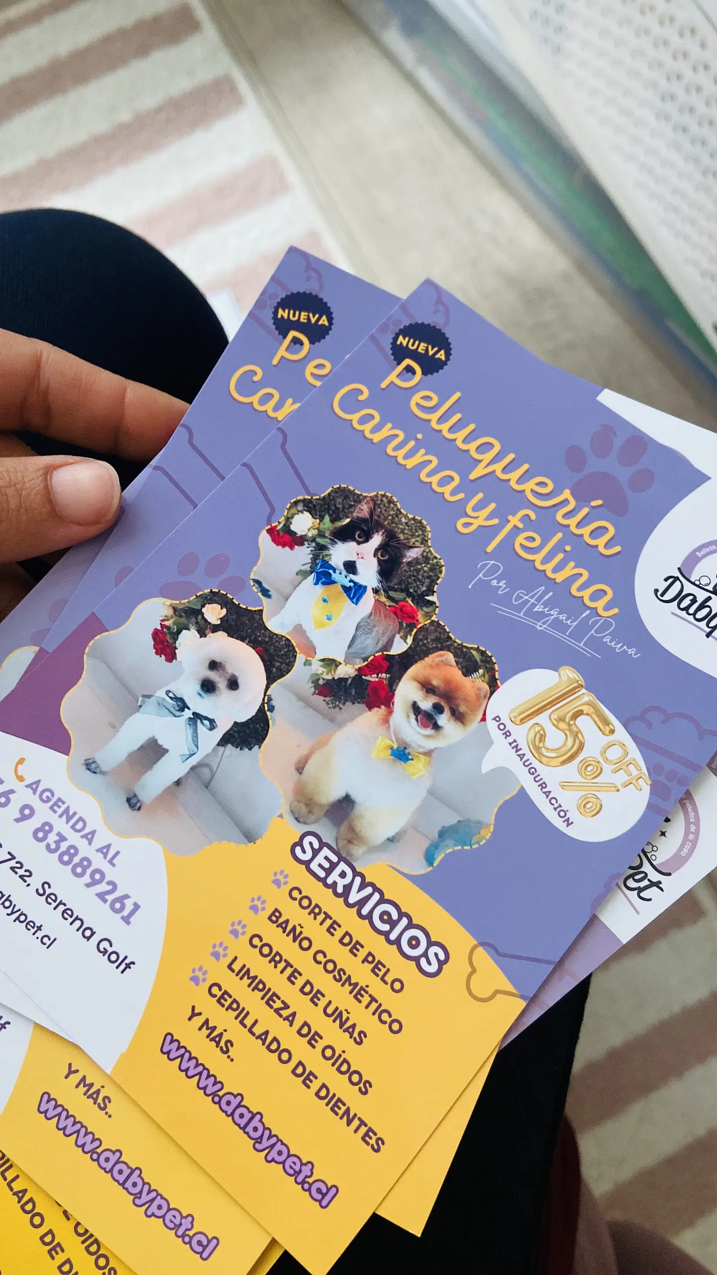 Flyers - Volantes 10 x 15 cm 1