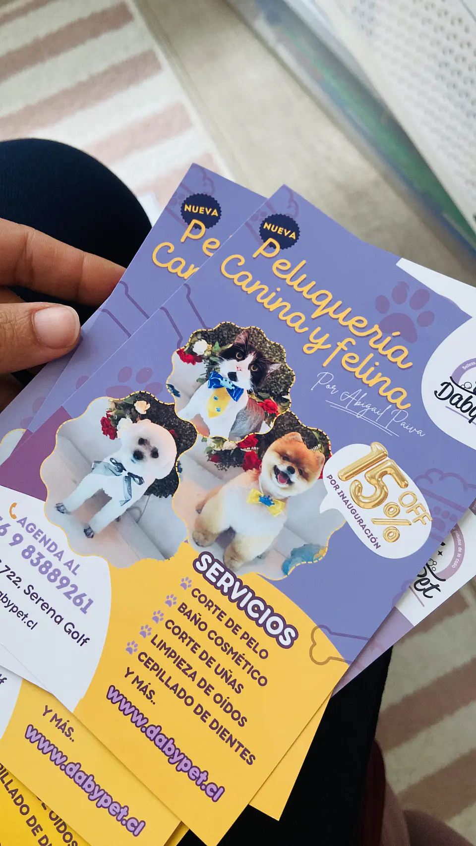 Flyers - Volantes 10 x 15 cm 1