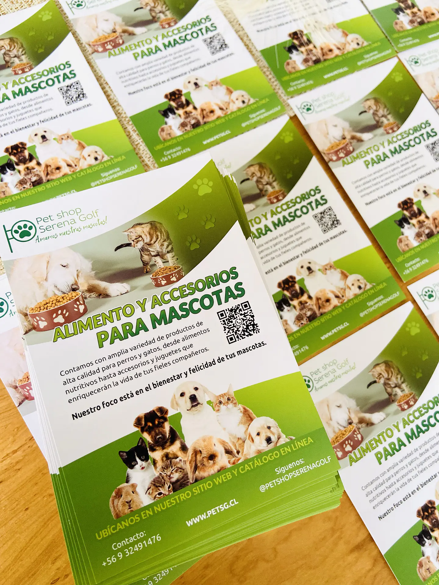 Flyers - Volantes 10 x 15 cm 2