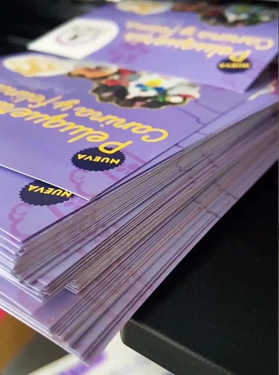 Flyers - Volantes 10 x 15 cm 3