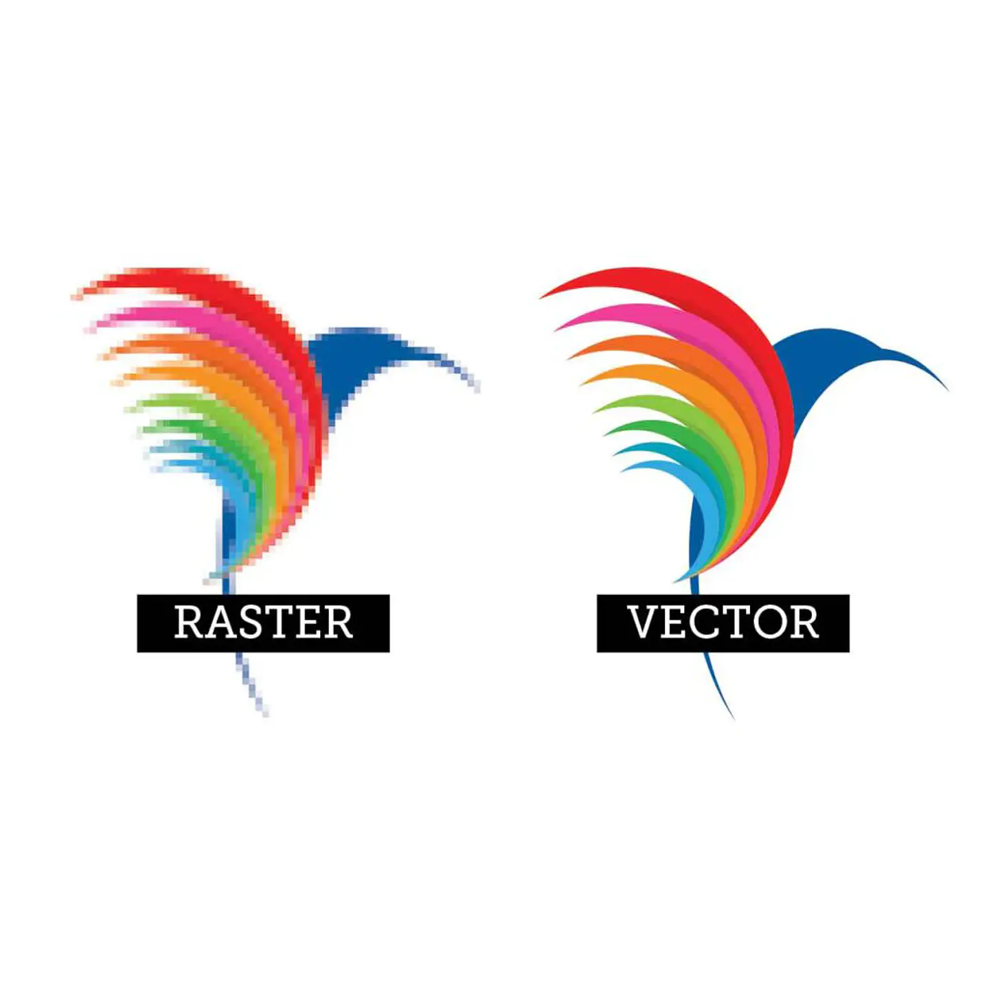 Vectorizado / Trazado de logo 1