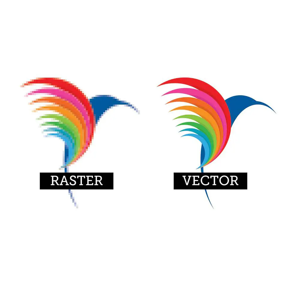 Vectorizado / Trazado de logo 1