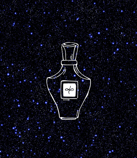 PROVEEDOR DE PERFUMES