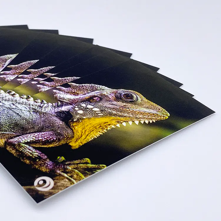 16pt Matte Grit Textured Business Cards 1