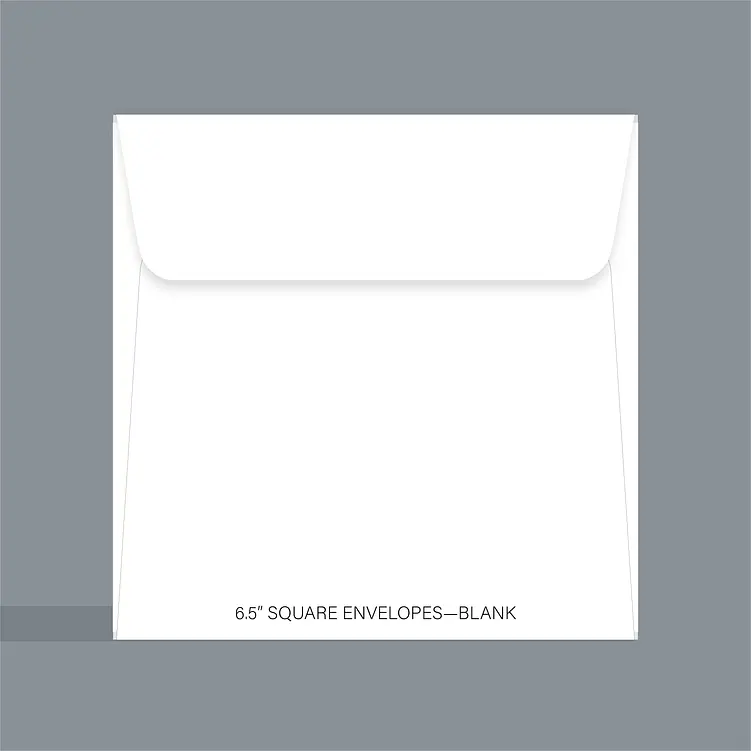 Blank Envelopes 2