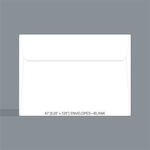 Blank Envelopes